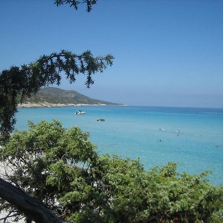 Casa Laurina Oletta (Corsica) Quarto foto